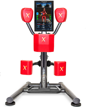 Nexersys N3 Commercial Fitness Gaming